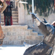 Illustration for article titled People are still torrenting the crap out of iGame Of Thrones/i